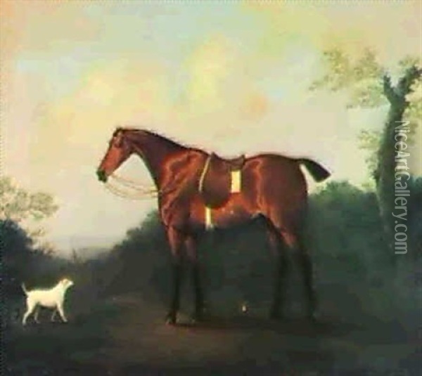 A Saddled Bay Hunter And A Dog, In An Extensive Wooded      Landscape, A Church Tower Beyond Oil Painting - Daniel Clowes