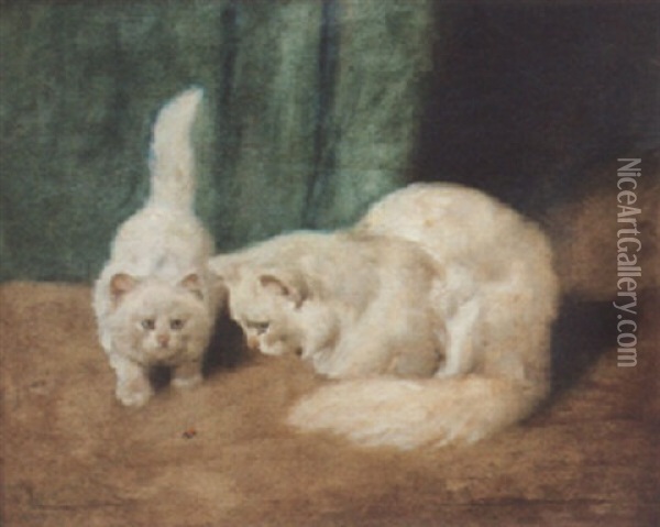 Two Persian Cats With A Ladybird Oil Painting - Arthur Heyer