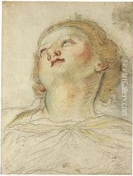 The Head Of The Madonna Looking Up Oil Painting - Domenico Maria Canuti