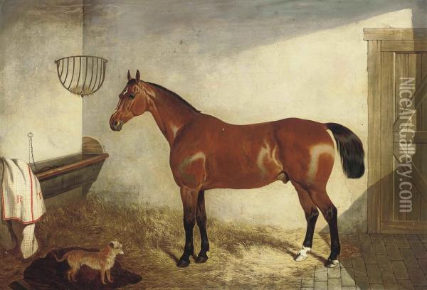 A Bay Hunter In A Stable Oil Painting - John Dalby Of York
