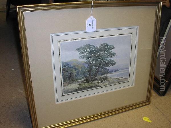 Trees By A Lake Oil Painting - William Callow