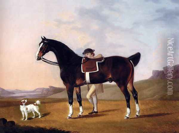 A Gentleman With A Bay Hunter And Spaniel In A Coastal Landscape Oil Painting - Francis Stringer