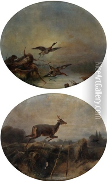 Hunting Scene With Couple Of Ducks Scared By A Beaver; Prancing Deer In Landscape (2 Works) Oil Painting - August Ferdinand Ottevaere