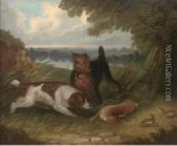 A Terrier And Spaniel With A Hare Oil Painting - George Armfield