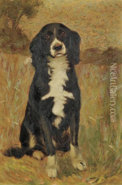 Portrait Of A Spaniel Oil Painting - William Baxter Palmer Closson