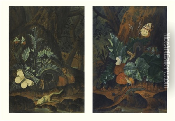 A Snake, A Snail, A Lizard And Butterflies At The Foot Of The Tree And A Snake, A Frog, A Butterfly And A Snail At The Foot Of A Tree (pair) Oil Painting - Carl Wilhelm de Hamilton