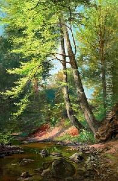 A Forrest With A Stream. Signed Carl O. J. Lund 1911 Oil Painting - Carl Ove Julian Lund