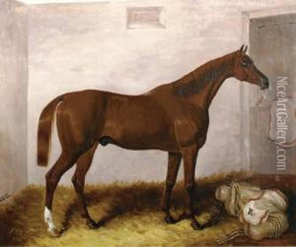 A Bay Horse In A Stable Oil Painting - Samuel Spode
