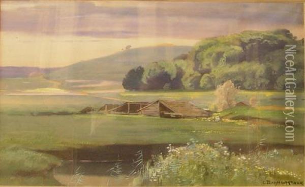 Sommerliche Moorlandschaft. Oil Painting - Christian Baumgartner