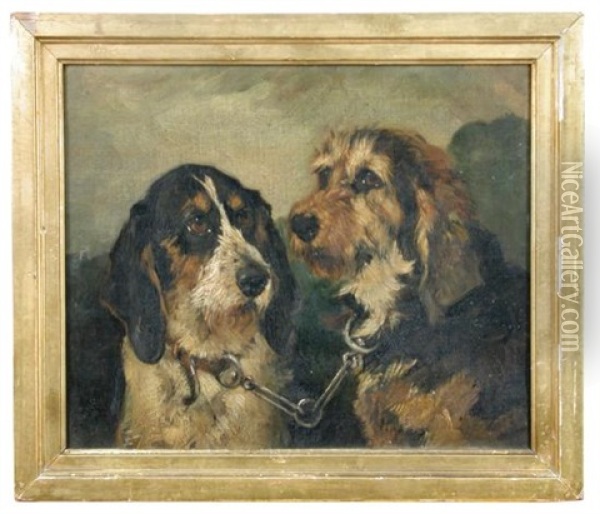 Study Of Two Hounds Oil Painting - John Emms
