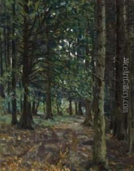 Buchenhochwald Oil Painting - Oskar Moll