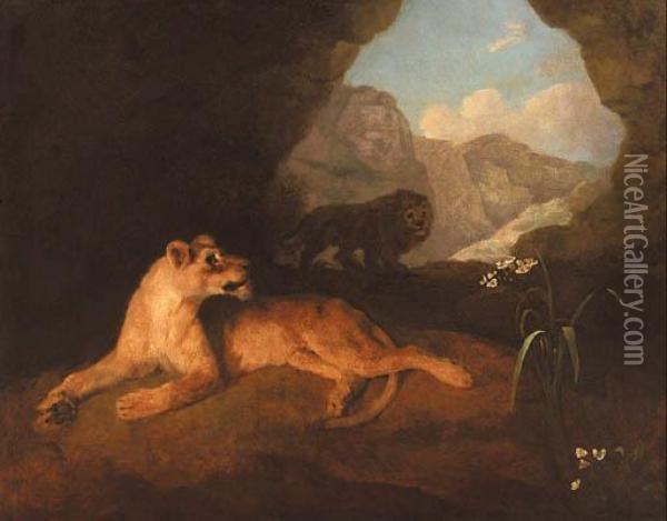 A Lion And Lioness In A Cave Oil Painting - George Stubbs