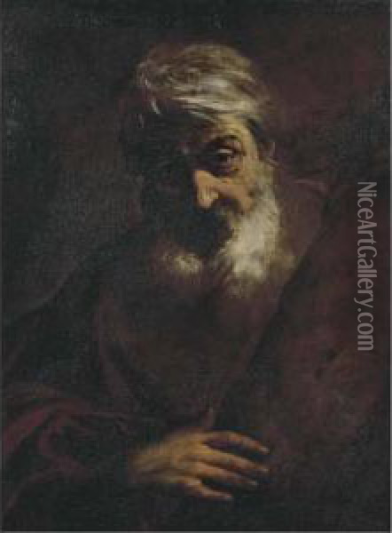 Testa Di Vecchio Barbuto (sant'andrea Apostolo?) Oil Painting - Girolamo Troppa