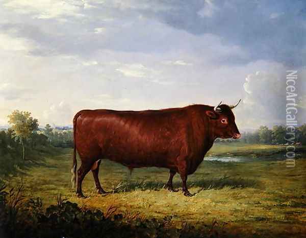 Portrait of a Brown Bull, 1834 Oil Painting - Henry Calvert