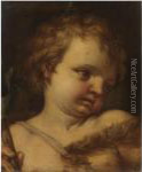 San Giovannino Oil Painting - Domenico Piola
