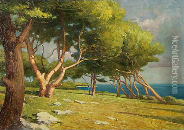 Pineta A Cigale Oil Painting - Giovanni Zangrando