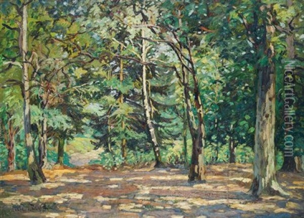 In The Woods Of Bel Air Oil Painting - Emmanuel Victor Auguste Marie De La Villeon