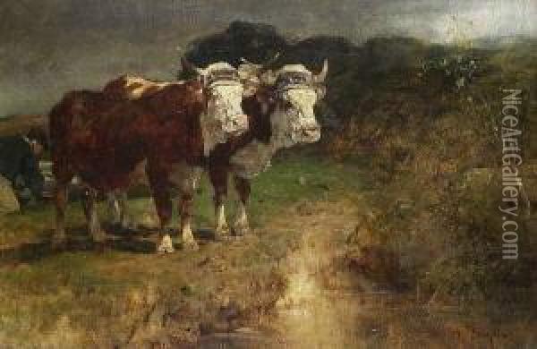 Zwei Ochsen Oil Painting - Heinrich Johann Von Zugel