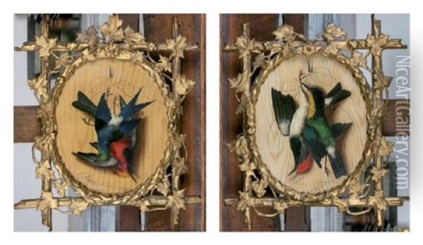 Paire De Trophees D'oiseaux (2 Works) Oil Painting - Michelangelo Meucci