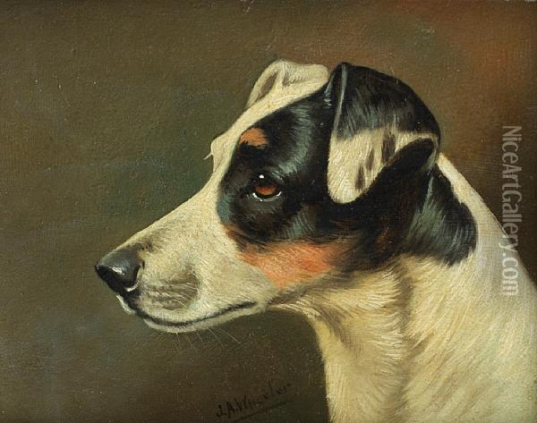Head Studies Of Terriers: Two Oil Painting - John Arnold Wheeler