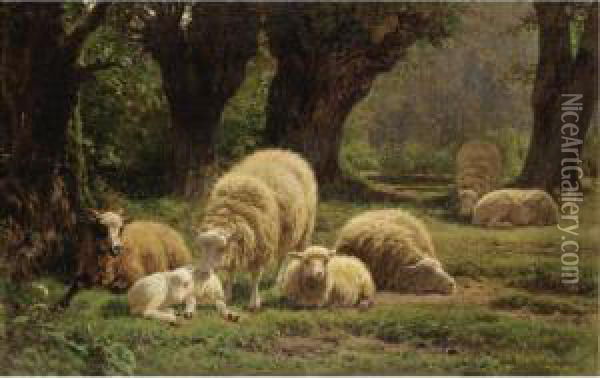 Sheep Grazing In A Wooded Clearing Oil Painting - Juliette Peyrol Bonheur