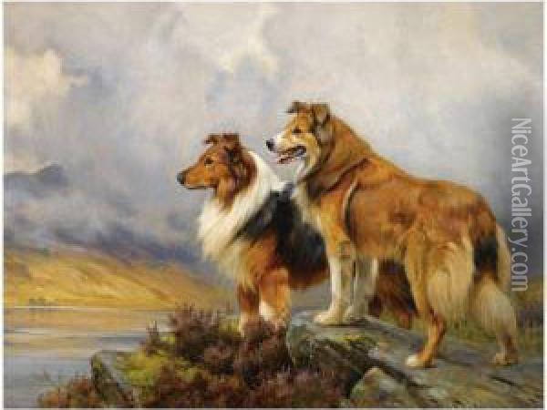 Two Collies Above A Lake Oil Painting - Wright Barker