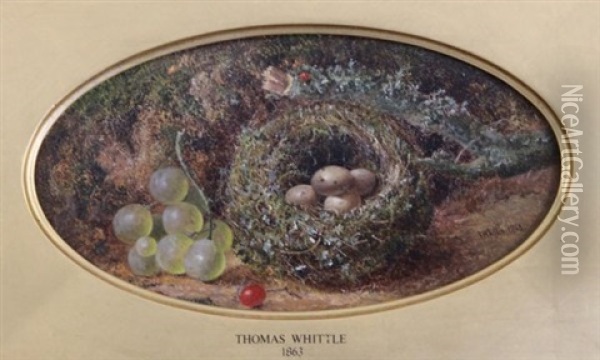 Chaffinch Nest And Grapes Oil Painting - Thomas Whittle the Younger