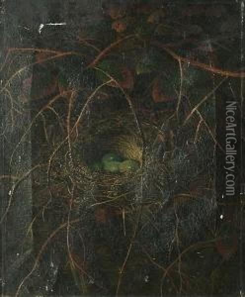 A Still Life Of A Birds Nest In A Hedgerow Oil Painting - Abel Hold