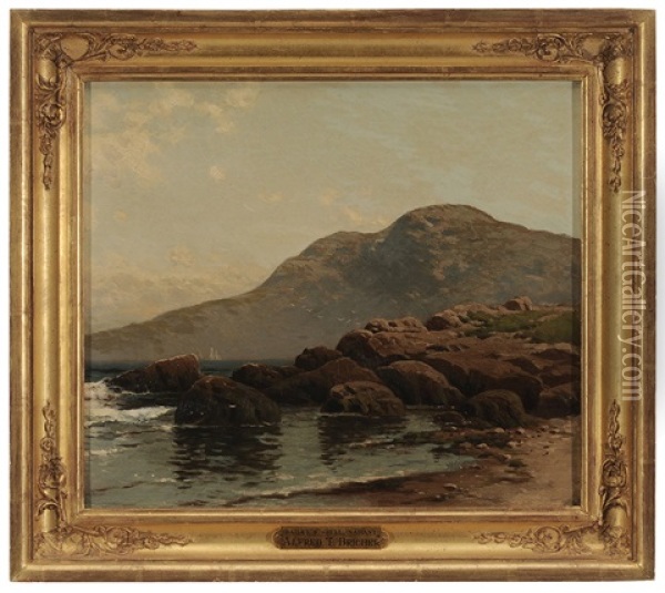 Bailey's Hill, Nahant Oil Painting - Alfred Thompson Bricher