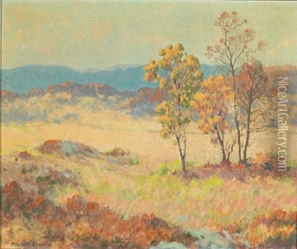 A Southern California Landscape Oil Painting - Maurice Braun