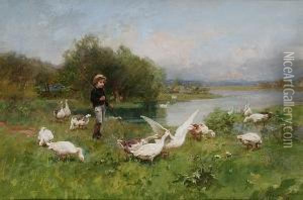 Young Boy Tending Geese Oil Painting - Luigi Chialiva