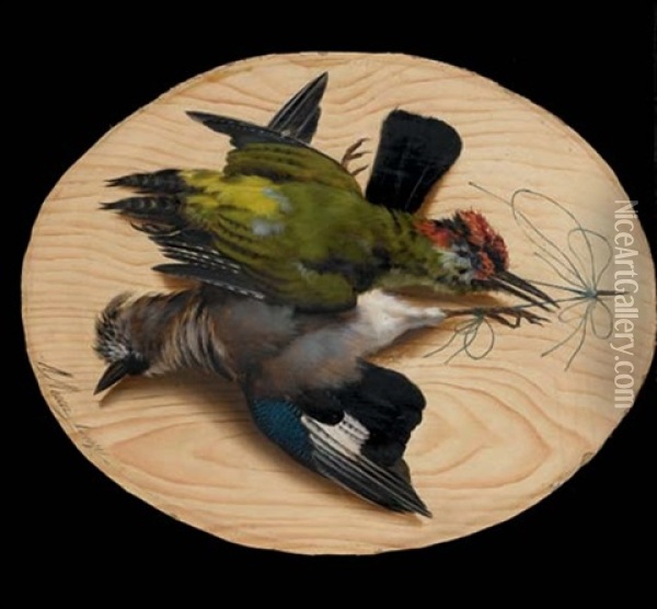 Trompe L'oeil Aux Oiseaux Oil Painting - Michelangelo Meucci