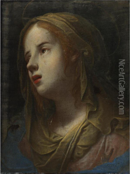 Weeping Virgin Oil Painting - Mario Balassi