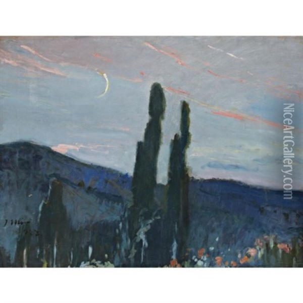 Atardecer (twilight) Oil Painting - Joaquin Mir Trinxet