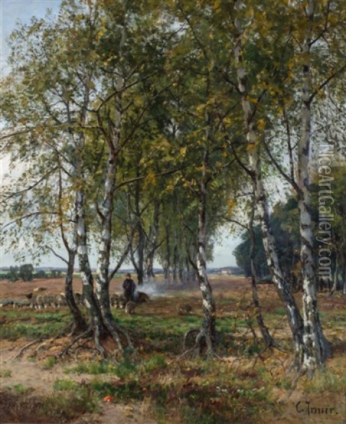 Shepherd And Flock Amongst Birch Trees Oil Painting - Carl Irmer