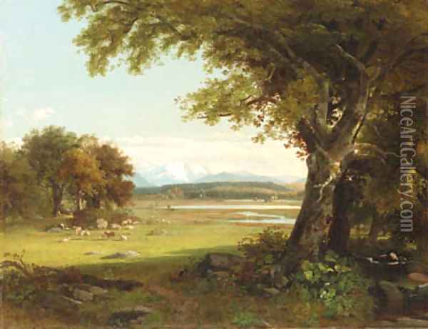 Sheep Grazing in the Meadow Oil Painting - James McDougal Hart