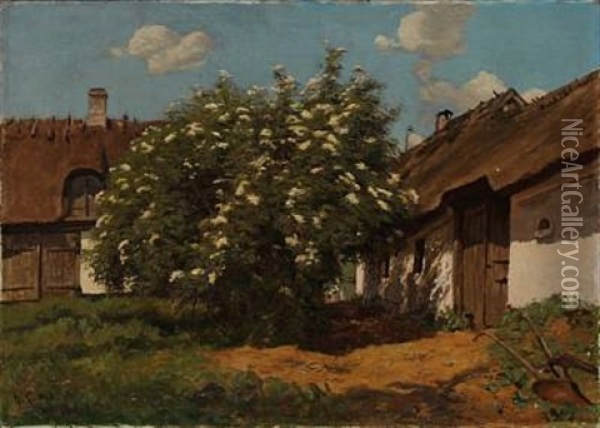 Farm Yard With Blooming Elderberry Oil Painting - Godfred Christensen
