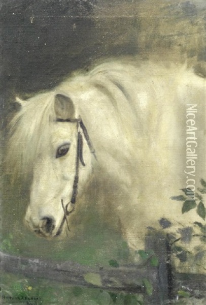 Head Of A Horse Oil Painting - Arthur John Elsley