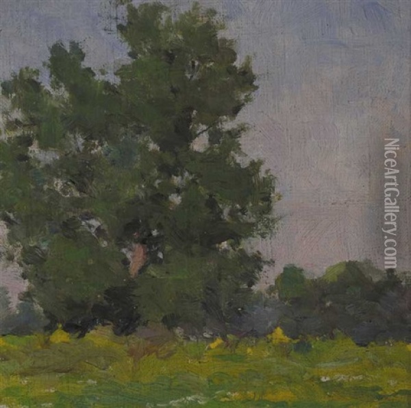 Tree Study, Summertime Oil Painting - Michael Healy