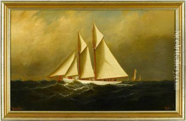 Two Masted Racing Ship Oil Painting - Alexander Charles Stuart