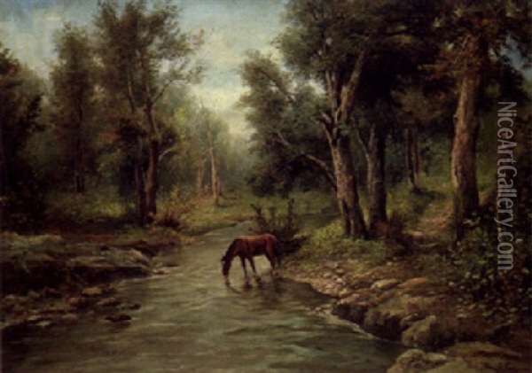 A Horse Watering In A Wooded River Landscape Oil Painting - Francesco Capuano