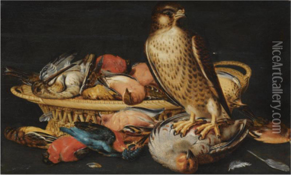A Still Life With A Live Hawk Perched On A Dead Partridge, Akingfisher, Finches And Other Dead Game In A Woven Basket Oil Painting - Nicolaes Cave