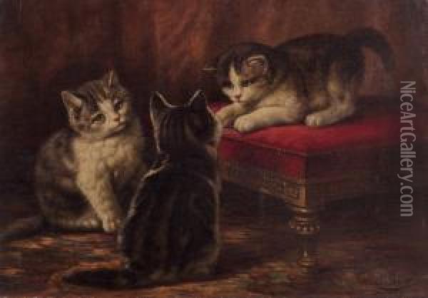 Kittens Oil Painting - August Laux