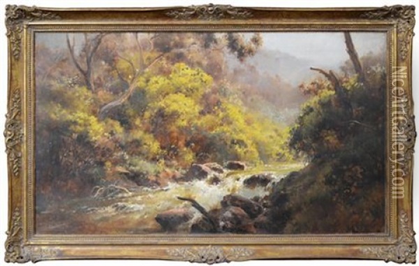 Flooded River Oil Painting - Charles Rolando