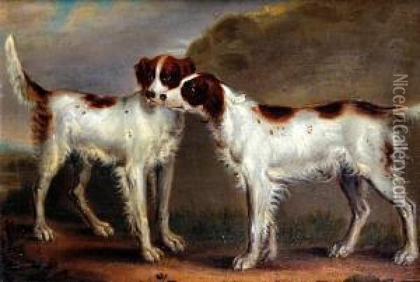 Two Spaniels On A Path Oil Painting - Samuel Raven