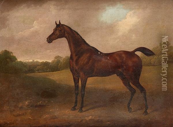 A Bay Racehorse In A Landscape Oil Painting - Charles Henry Schwanfelder