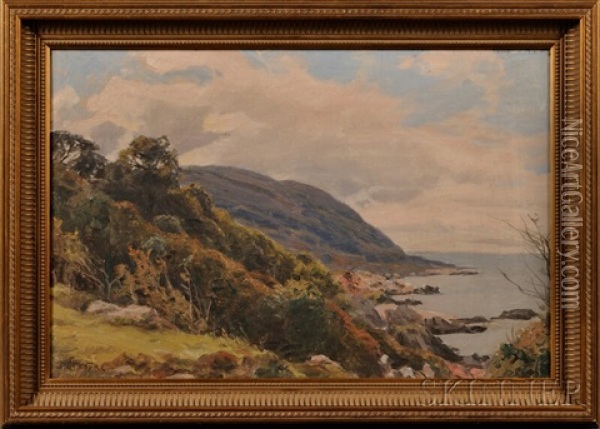 Hills And Coast Oil Painting - Niels Andersson Wyke