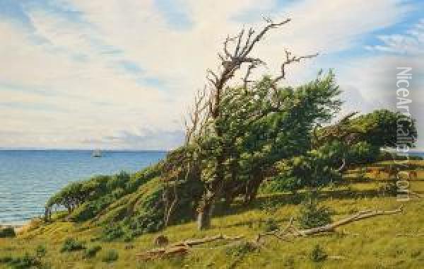Summer Landscape Near The Coast Oil Painting - Andreas Christian Riis Carstensen