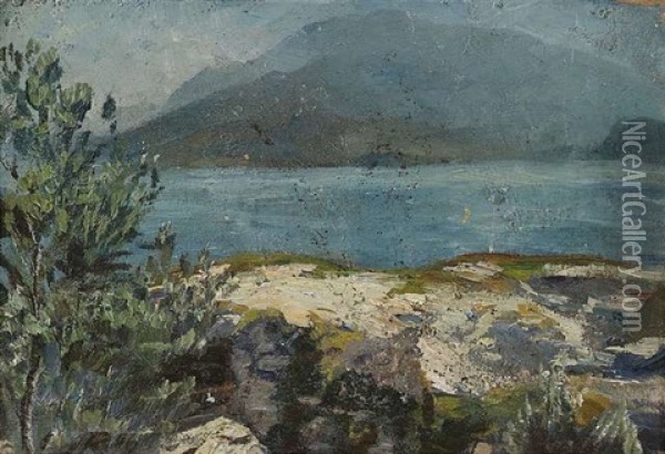 Sommerliches Seeufer Oil Painting - Hermann Pleuer