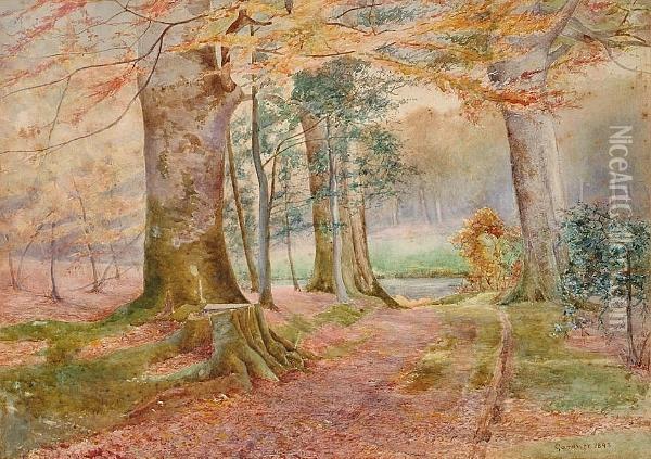 View Of A Wooded Path Oil Painting - William Biscombe Gardner